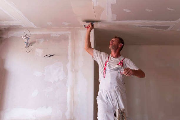 Best Commercial Drywall Repair  in Stansberry Lake, WA