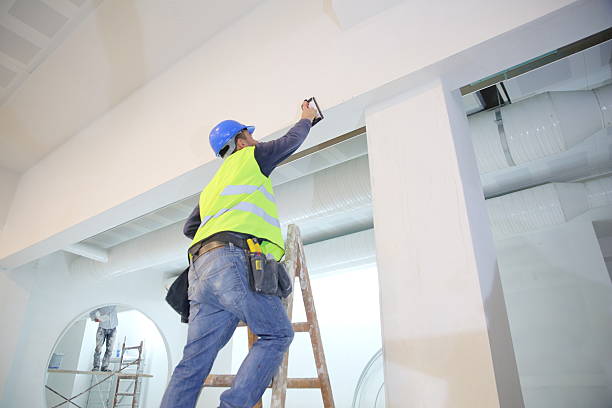 Best Drywall Removal and Disposal  in Stansberry Lake, WA